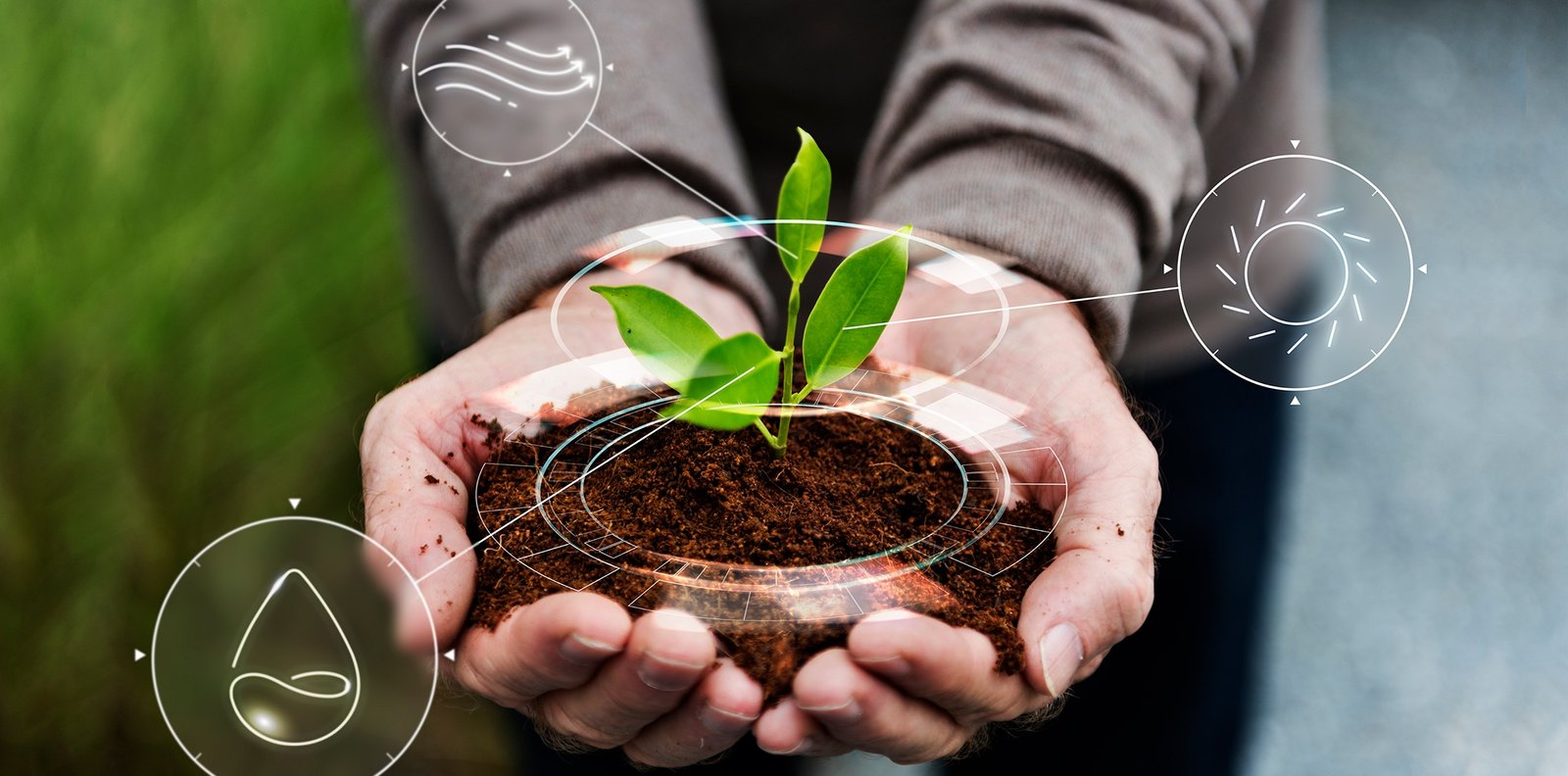 smart-agriculture-iot-with-hand-planting-tree-background (1)