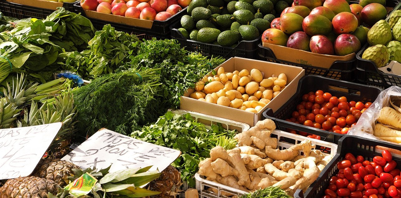 smart-agriculture-iot-with-hand-planting-tree-background (3)